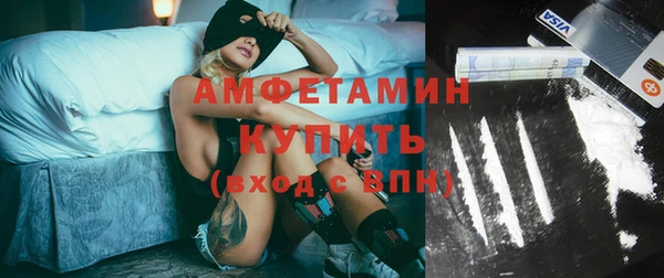 прущие грибы Гусь-Хрустальный