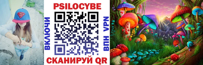 Купить закладки  Новоржев  Псилоцибиновые грибы мухоморы 